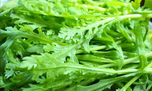 Cải cúc được mệnh danh là món ăn của vua chúa, xào đơn giản mà ngon, giải khát, bổ dưỡng và tốt cho sức khỏe 