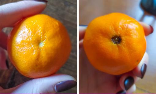 9 mẹo giúp bạn không còn mua phải quýt vô vị, để tâm trạng đón Tết không bị uể oải