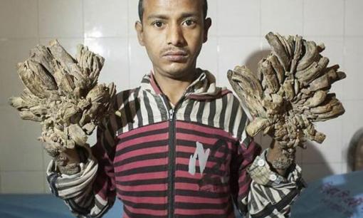 20 bức ảnh khiến chúng ta 'há hốc' khi xem 