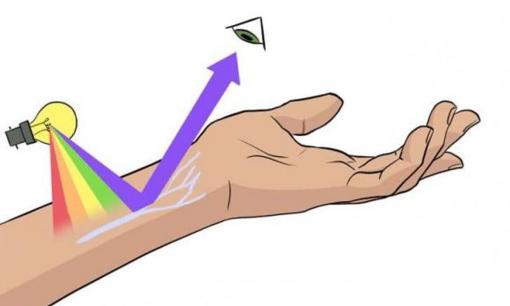 Tại sao máu có màu đỏ và tĩnh mạch có màu xanh