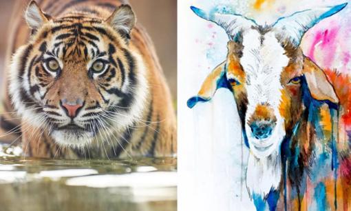 Tử vi 12 con giáp chủ nhật ngày 25/12/2022: Tuổi Dần may mắn đủ đường, Mùi đối mặt với nhiều rắc rối