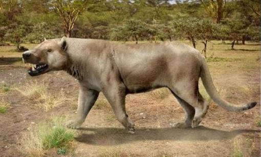 Nặng hai tấn và ăn thịt voi, loài tiền sử mới được các nhà khoa học phát hiện may mắn không sống ở thời hiện đại