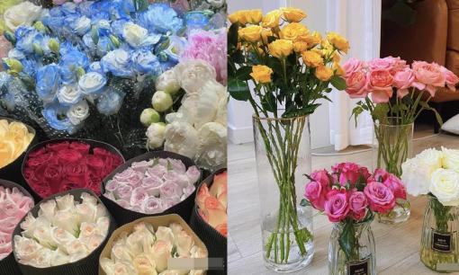 Tết Nguyên Đán, mua hoa tươi hay mua hoa khô? Cái nào tốt hơn? Có thể mua hoa tươi thay vì hoa khô