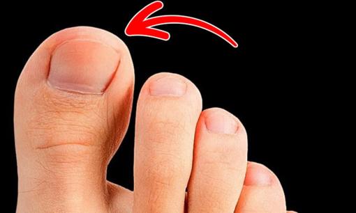 Tại sao ngón chân cái lại to hơn ngón chân khác, mục đích thực sự của nó không phải ai cũng biết