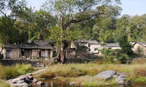 Người xưa có câu: “Mộ trước cửa, nước sau nhà”, không phải mê tín dị đoan, chân lý ở đây có ích cho đời