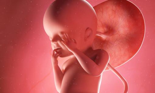 Nghiên cứu cho thấy em bé trong bụng mỉm cười khi mẹ ăn một số sản phẩm nhưng lại cau mày khi ăn những thực phẩm khác