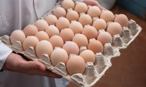 Tốt nhất không nên ăn 3 loại trứng này hại gan hại thận, đáng tiếc là đa số người dân không hiểu mà vẫn ăn hàng ngày!