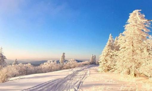 Những người thực sự thông minh sẽ giữ im lặng về ba bí mật lớn của họ, nhưng những người ngu ngốc lại nói