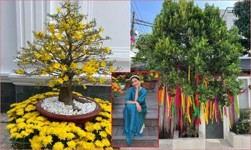 Hà Tăng khoe biệt thự trang hoàng ngập sắc hoa đón Tết