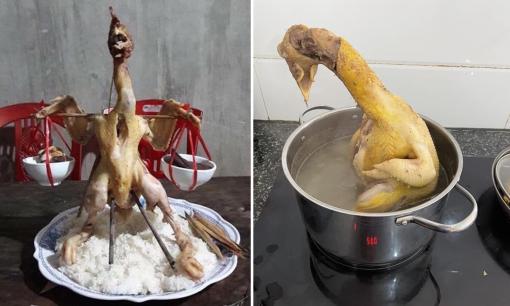 Những màn 'tạo dáng' bá đạo của gà luộc ngày Tết khiến dân mạng cười đau bụng