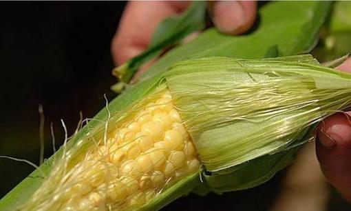 Nếu nam giới không muốn tiến quá gần với viêm tuyến tiền liệt, 3 việc nên bớt làm, 4 việc nên ăn thường xuyên