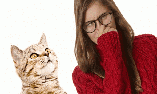 Nhà nuôi thú cưng khó tránh được những mùi hôi khó chịu, áp dụng ngay 6 mẹo này để ngôi nhà của bạn luôn thơm tho, hết mùi thú cưng