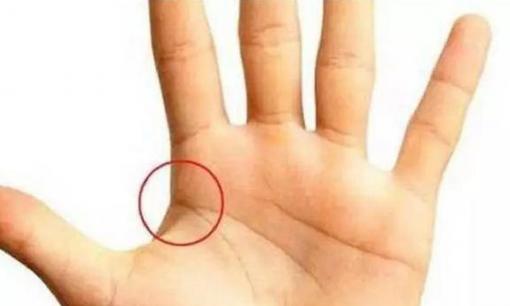 Chỉ cần có đường vân này trong lòng bàn tay, bạn không chỉ giàu có mà còn có quyền lực, cả đời hưởng nhiều của cải