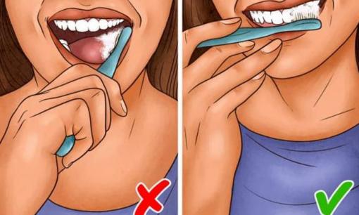 8 lời khuyên và sự thật về răng sẽ giúp bạn chăm sóc chúng tốt hơn