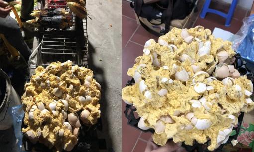 Khởi nghiệp với món trứng nướng, chàng trai lỗ 'chổng vó' vì không biết cách làm