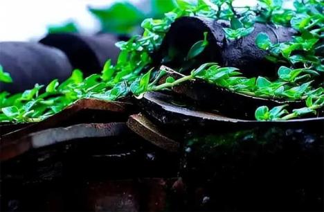 3 nơi này trong nhà càng đầy đủ thì càng may mắn!