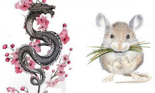 Tử vi 12 con giáp thứ 2 ngày 6/2/2023: Tuổi Thìn sự nghiệp tốt đẹp, Tý dễ mắc bẫy kẻ tiểu nhân