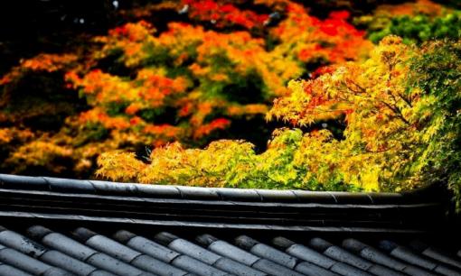 Nếu bạn không muốn bị coi thường, đừng nói những lời này trước mặt người khác, đây là EQ cao