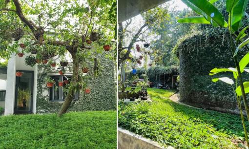 Thiết kế nhà ngập tràn không gian xanh như khu rừng nhiệt đới của cặp vợ chồng trẻ ở Nghệ An