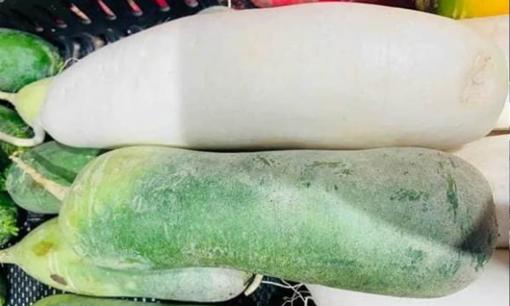 Củ cải xanh và trắng có sự khác biệt rất lớn, nhớ đừng mua nhầm, bác nông dân trồng rau sẽ dạy bạn 4 tuyệt chiêu để mua củ cải ngon