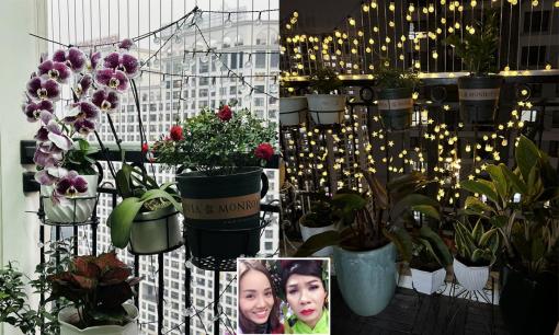 Bà xã nghệ sĩ Công Lý decor góc ban công cực đẹp, được khen là vợ đảm khi trổ tài cắm hoa