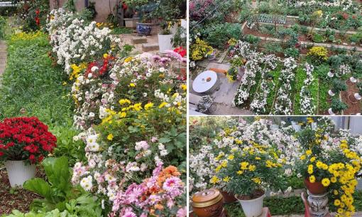 'Mẹ đảm' khoe khu vườn hơn 50 loài hoa, bí quyết chăm sóc cực đơn giản