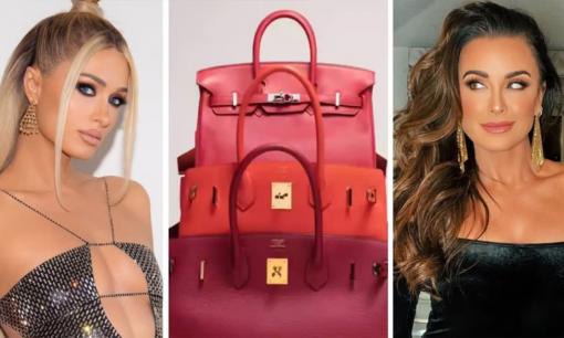 5 vụ trộm túi xách Hermès Birkin nổi tiếng thế giới: Công chúa Ả Rập nhập viện vì sốc, Paris Hilton cũng có trong danh sách
