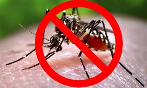 Làm thế nào để tránh bị muỗi đốt