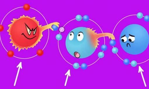 Chất chống oxy hóa là gì và làm thế nào để chúng chống lại các gốc tự do?