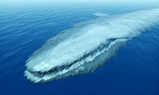 Sinh vật dài nhất thế giới, sứa ống, dài hơn cả cá voi xanh, dài hơn 100 mét