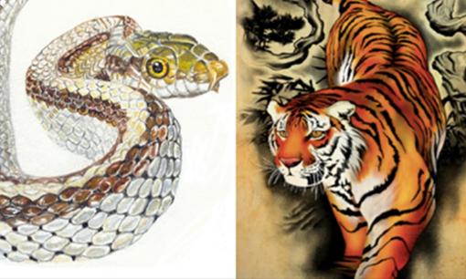 Tử vi 12 con giáp chủ nhật ngày 19/2/2023: Tuổi Tỵ gặp được quý nhân, Dần cần đề phòng tiểu nhân