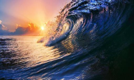 Mối quan hệ giữa anh em với nhau tốt đến đâu cũng phải giữ bí mật này, đây chính là biểu hiện của EQ cao