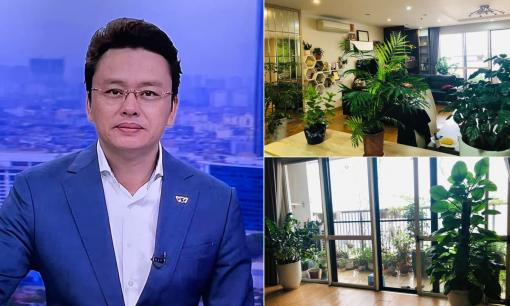 Không gian tràn ngập cây xanh bên trong căn hộ của BTV Thời sự 19h - Hữu Bằng