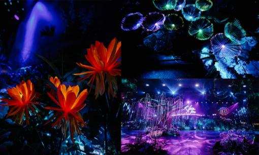 Chú rể tặng cô dâu 'đám cưới trong mơ', thiết kế hôn lễ theo phong cách Avatar đẹp như cổ tích