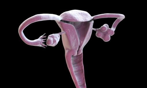 Nhắc bạn: phụ nữ nhận thấy 4 bất thường này, đa số là suy buồng trứng sớm