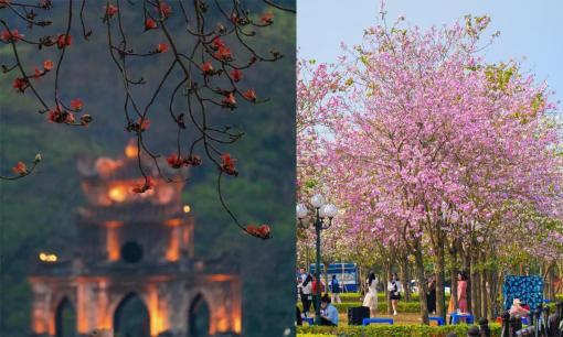 Tháng 3, những địa điểm đẹp để chụp ảnh ở Hà Nội