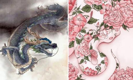 Tử vi 12 con giáp chủ nhật ngày 5/3/2023: Tuổi Tỵ công việc hanh thông, Thìn dễ vướng vào rắc rối