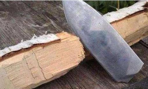 Loại gỗ cứng nhất thế giới, cứng gấp đôi thép, đạn không xuyên thủng, được mệnh danh là 'Vua Gỗ'