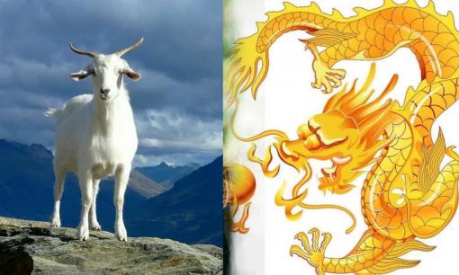 Tử vi 12 con giáp thứ 3 ngày 7/3/2023: Tuổi Thìn có cơ hội thăng tiến, Mùi gặp nhiều chuyện không như ý