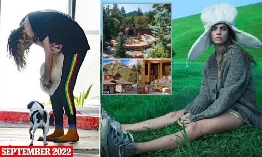 'Siêu mẫu giàu nhất nước Anh' Cara Delevingne vào trại cai nghiện có mức phí hơn 1 tỷ đồng/tháng