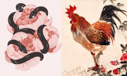 Tử vi 12 con giáp thứ 6 ngày 10/3/2023: Tuổi Dậu thuận lợi đủ đường, Tỵ có nguy cơ mất tiền