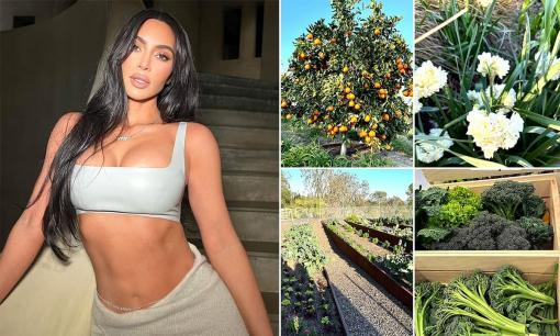 Tham quan khu vườn đẹp mắt của Kim Kardashian ở sân sau biệt thự trị giá hơn 1,4 nghìn tỷ đồng 
