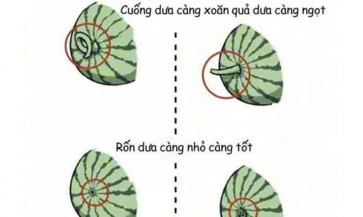 Chi tiết cách chọn hoa quả ngon chỉ cần dùng tay và nhìn bằng mắt thường