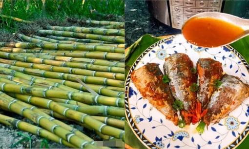 Công thức làm món cá nục kho mía mềm rục, thơm nức mũi