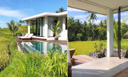 Xây nhà cấp bốn trước cánh đồng lúa, không gian xanh mát 'mướt mắt', ai cũng ao ước