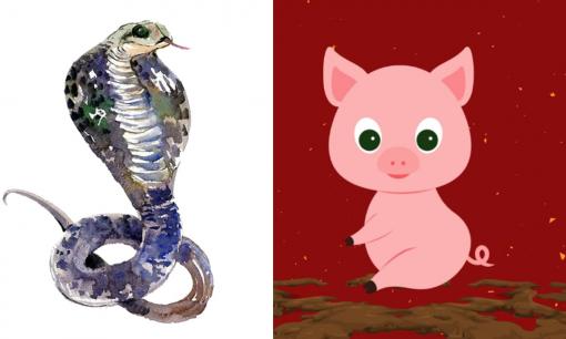 Tử vi 12 con giáp thứ 2 ngày 20/3/2023: Tuổi Tỵ đón tin vui về tiền bạc, Hợi vất vả