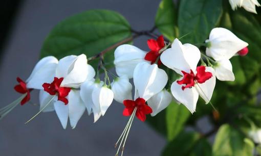 Tạm biệt xui xẻo 2 tháng đầu năm âm lịch, 3 chòm sao đón vận may trời cho kể từ tháng 2 âm nhuận, sự nghiệp phát triển, phú quý sang chảnh