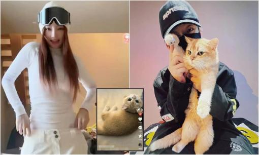 Cặp đôi 'mèo mả gà đồng' Lý Tiểu Lộ và PG One vẫn chưa chia tay, còn nuôi chung một con mèo?
