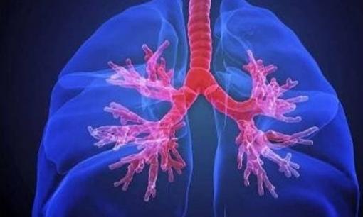 Đau nhức ở “bộ phận” này có thể là do tế bào ung thư đang hoạt động nên cả nam và nữ đừng lơ là