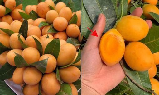 Quả thanh trà đang được bày bán đầy đường, nguồn gốc từ đâu và ăn kiểu nào ngon nhất?